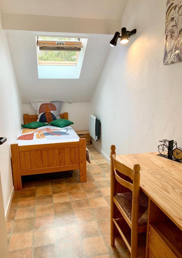 Charmant Appart Sous Toits Proche Chateau Des Ducs Chambéry Eksteriør billede